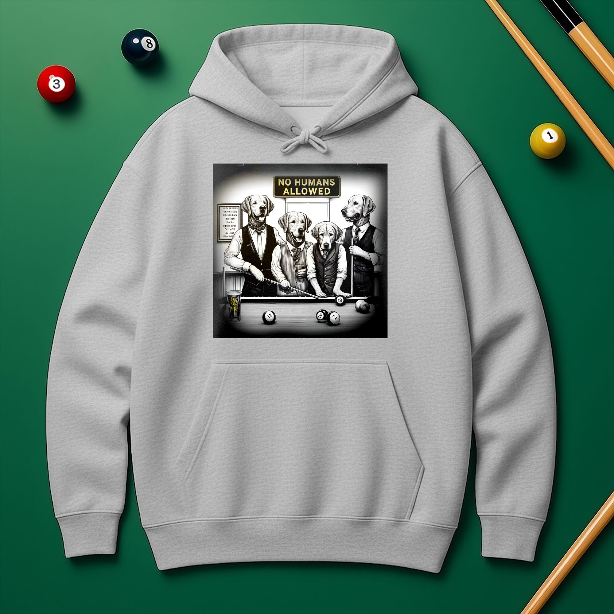No Human Allowed Hoodie – Bold Style for Pool Players