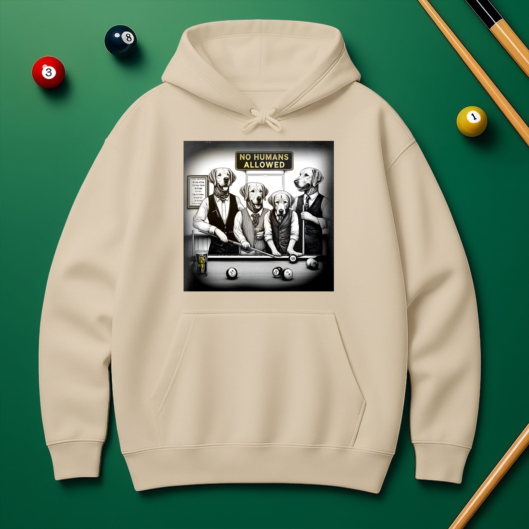 No Human Allowed Hoodie – Bold Style for Pool Players