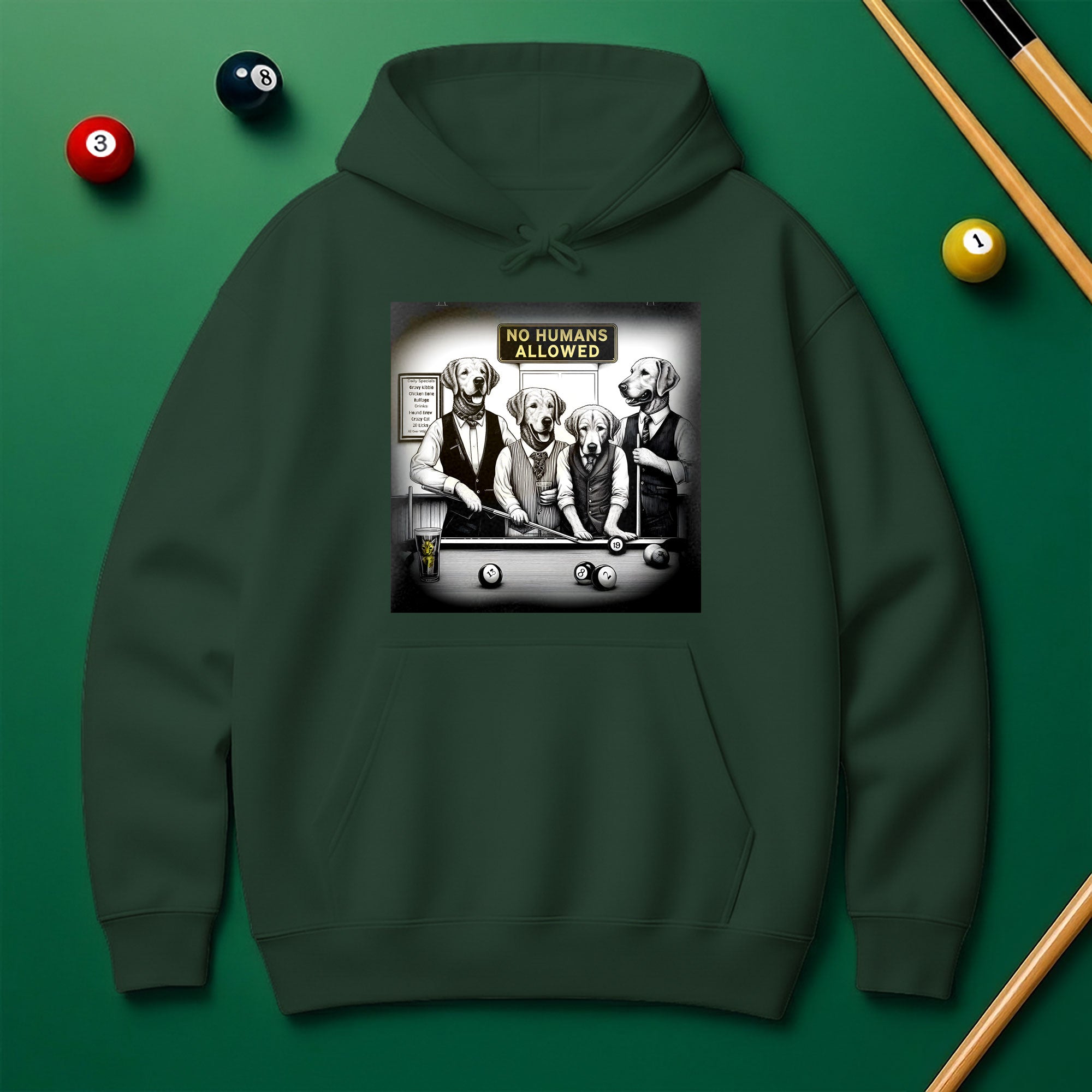 No Human Allowed Hoodie – Bold Style for Pool Players