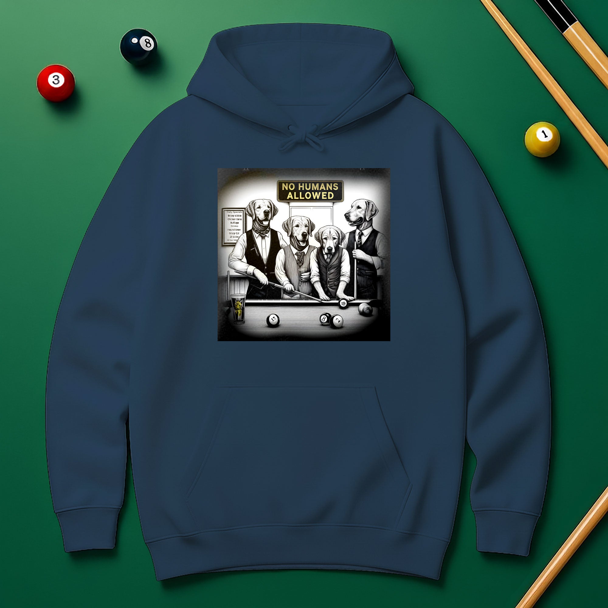 No Human Allowed Hoodie – Bold Style for Pool Players