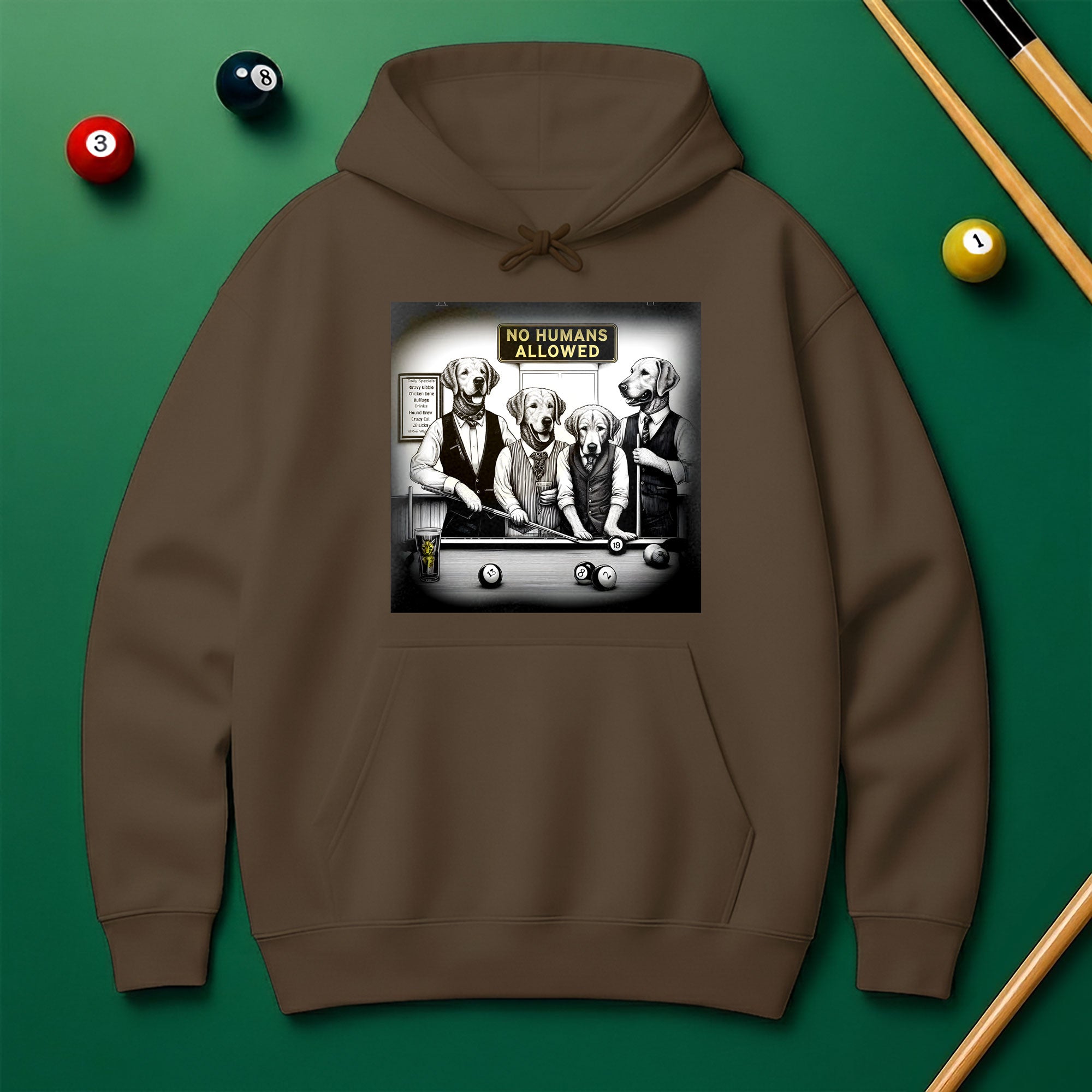 No Human Allowed Hoodie – Bold Style for Pool Players