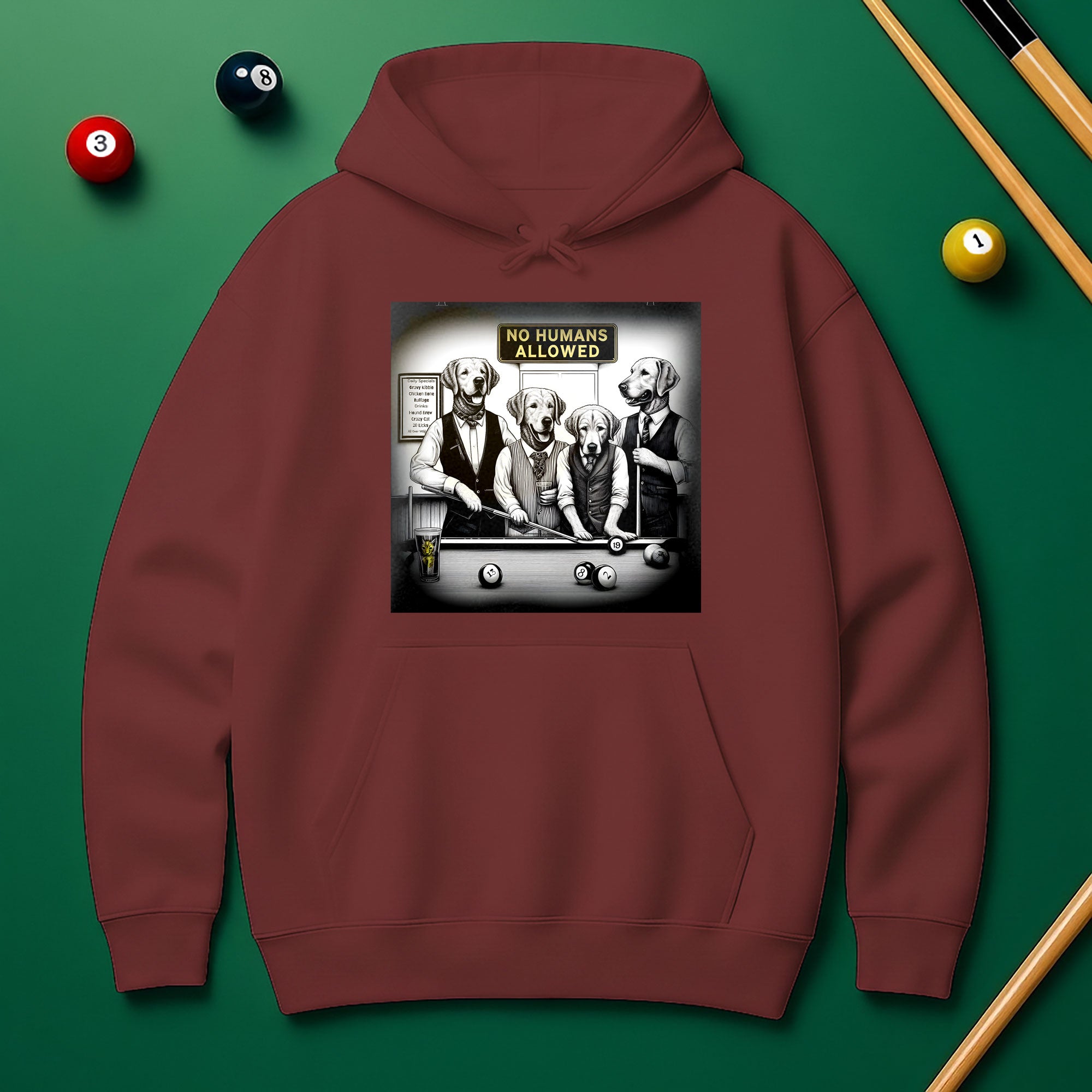 No Human Allowed Hoodie – Bold Style for Pool Players
