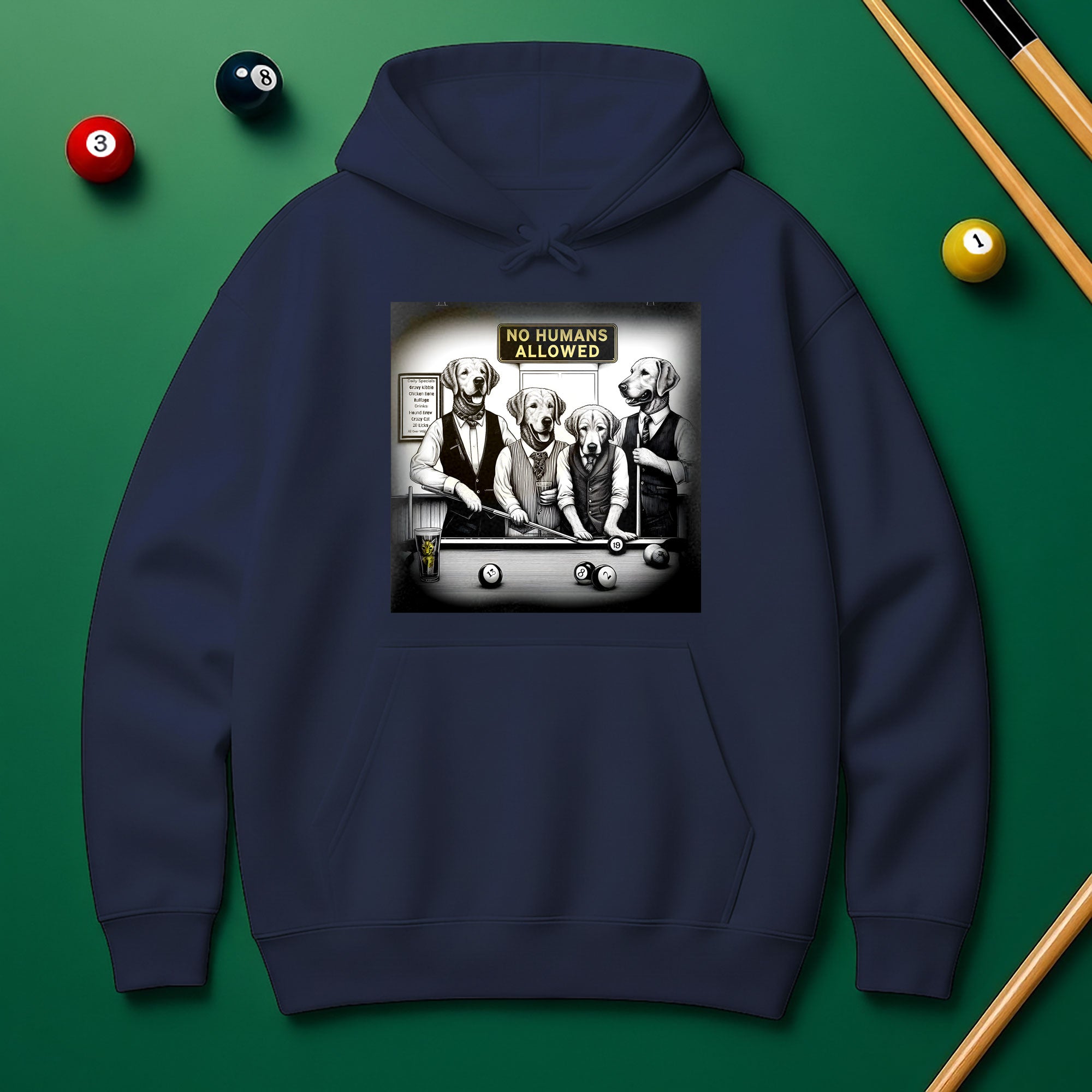 No Human Allowed Hoodie – Bold Style for Pool Players
