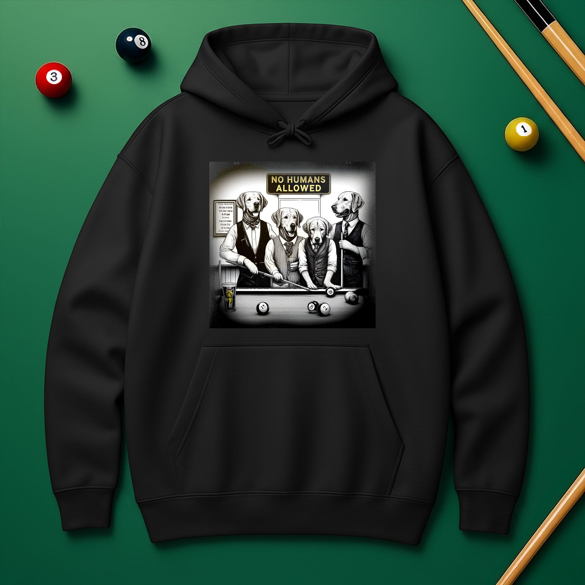 No Human Allowed Hoodie – Bold Style for Pool Players