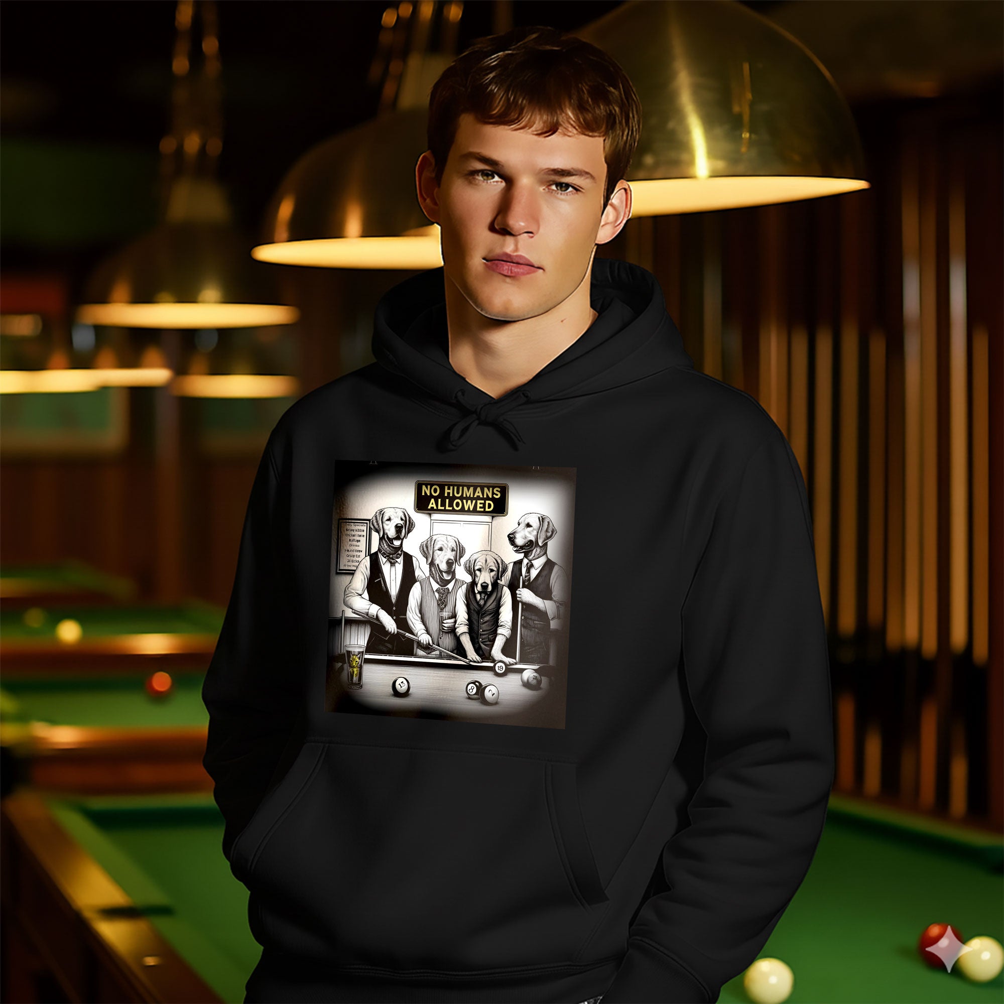 No Human Allowed Hoodie – Bold Style for Pool Players