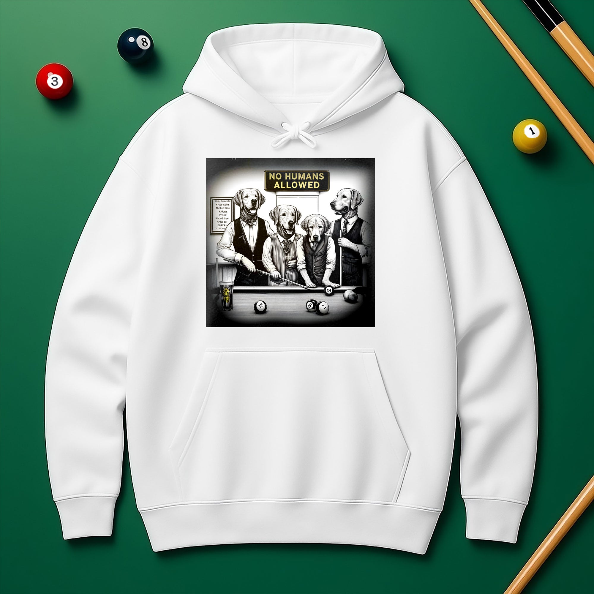 No Human Allowed Hoodie – Bold Style for Pool Players